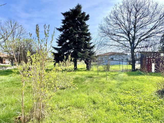 Saint Julien les Rosiers Vente Terrain 30