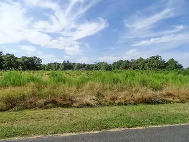 Saint Julien sur Cher 41320 Achat / Vente terrain