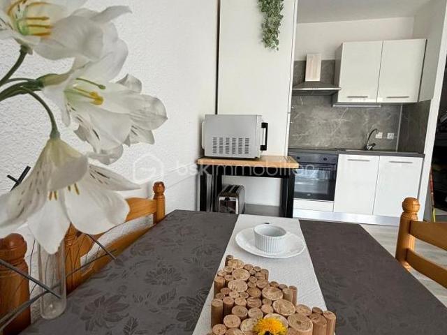 Saint Lary Soulan Vente Appartement 65