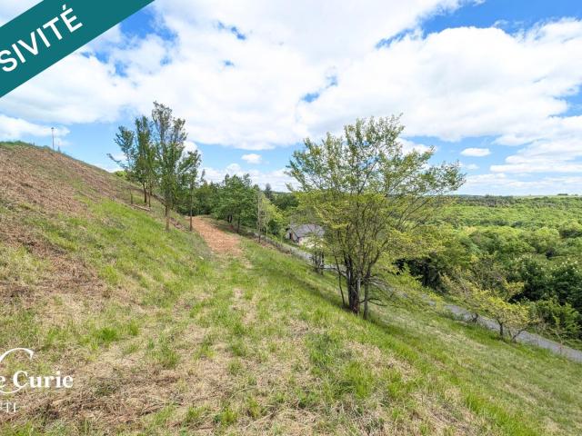 Saint Laurent de Lévézou Vente Terrain 12