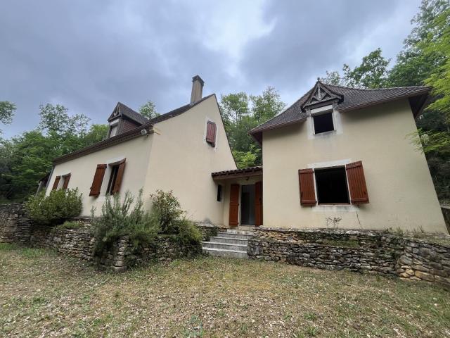 Saint Léon sur Vézère Vente Maison 24