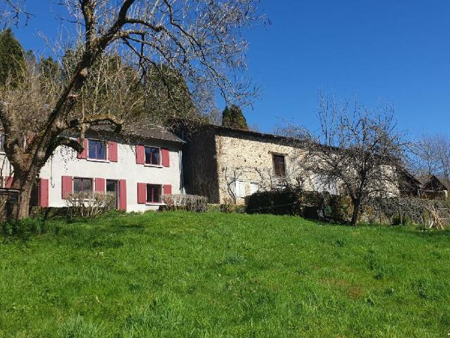 Saint Léonard de Noblat Vente Maison 87