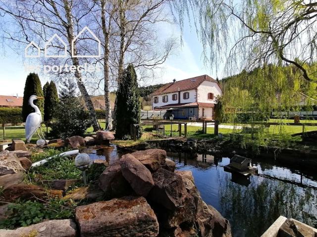 Saint Léonard Vente Maison 88