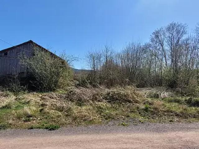 Saint Léonard 88650 Achat / Vente terrain