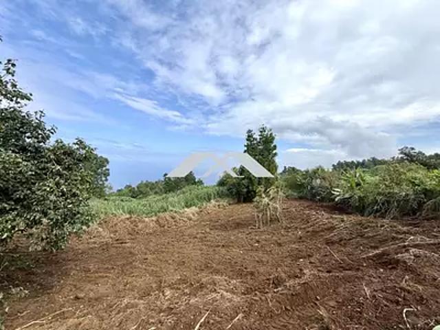 Saint Leu 97416 Achat / Vente terrain