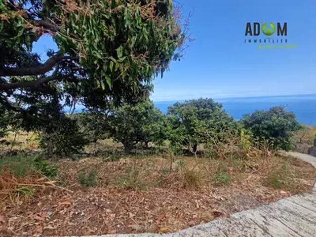 Saint Leu 97436 Achat / Vente terrain