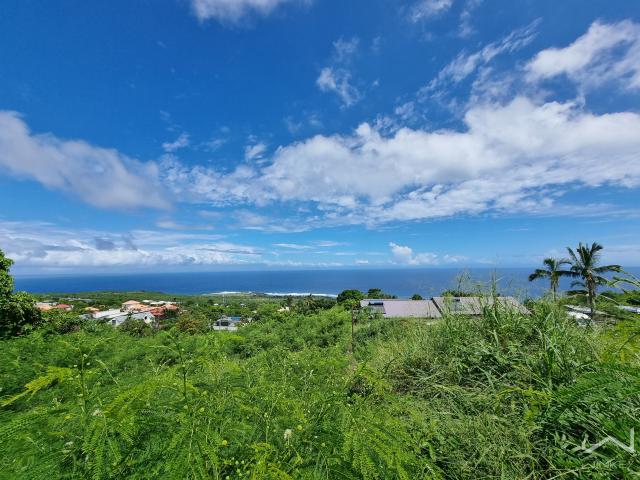 Saint Leu Vente Terrain 97