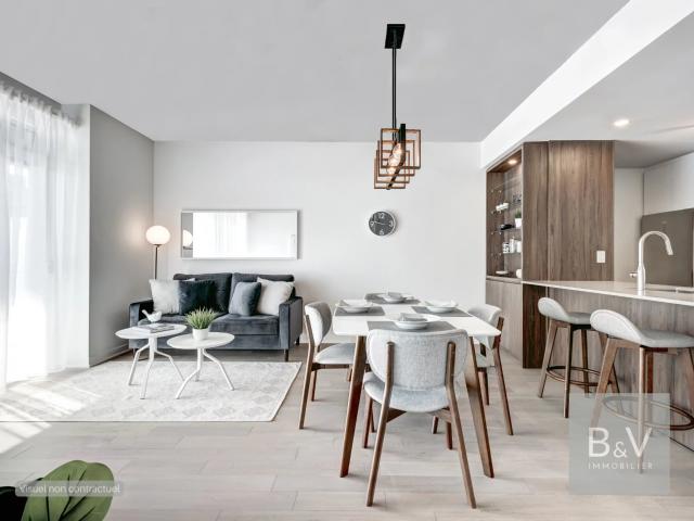 Saint Louis Vente Appartement 68