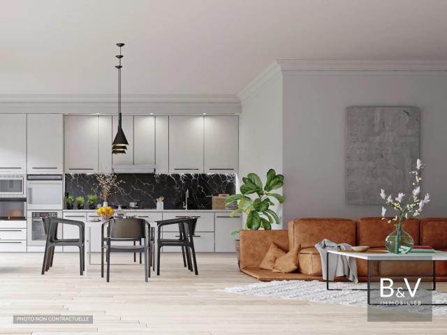 Saint Louis Vente Appartement 68