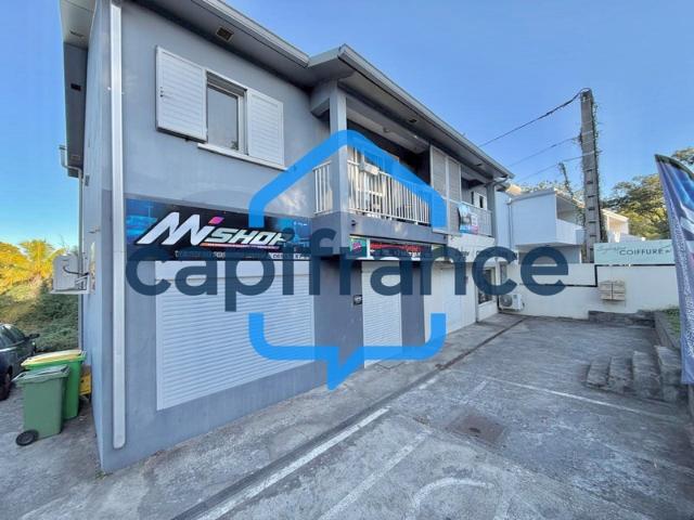 Saint Louis Vente Immeuble 97