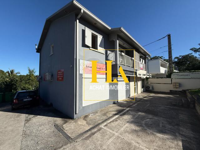Saint Louis Vente Immeuble 97