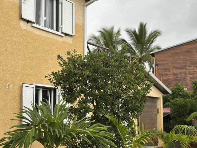 Saint Louis Vente Maison 97