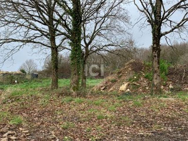 Saint Lyphard Vente Terrain 44