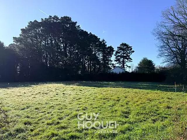 Saint Lyphard 44410 Achat / Vente terrain