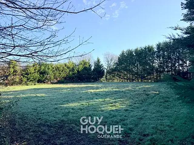 Saint Lyphard 44410 Achat / Vente terrain