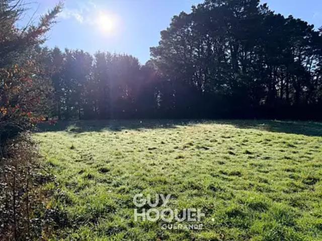 Saint Lyphard 44410 Achat / Vente terrain