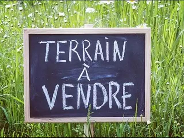 Saint Lyphard 44410 Achat / Vente terrain