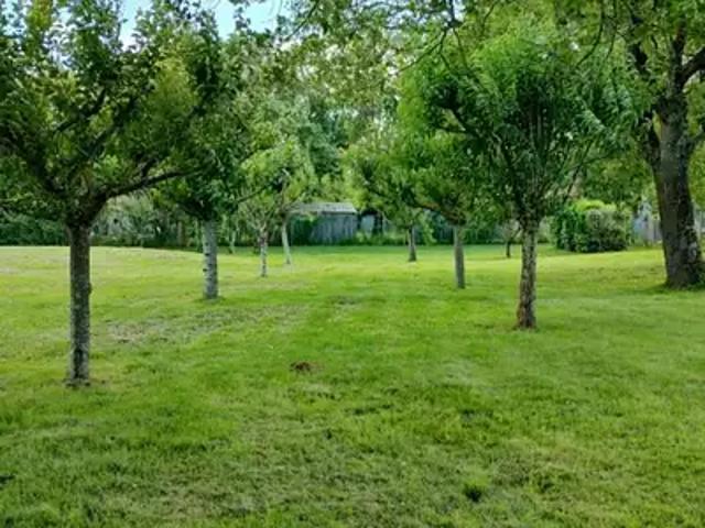 Saint Lys 31470 Programme neuf maison neuf à vendre