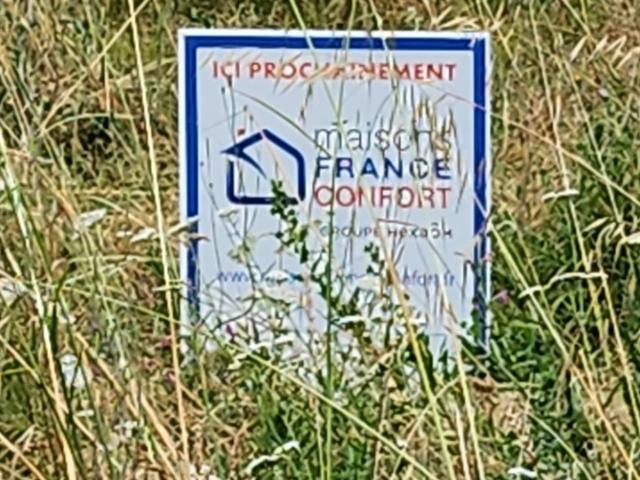 Saint Lys Vente Terrain 31