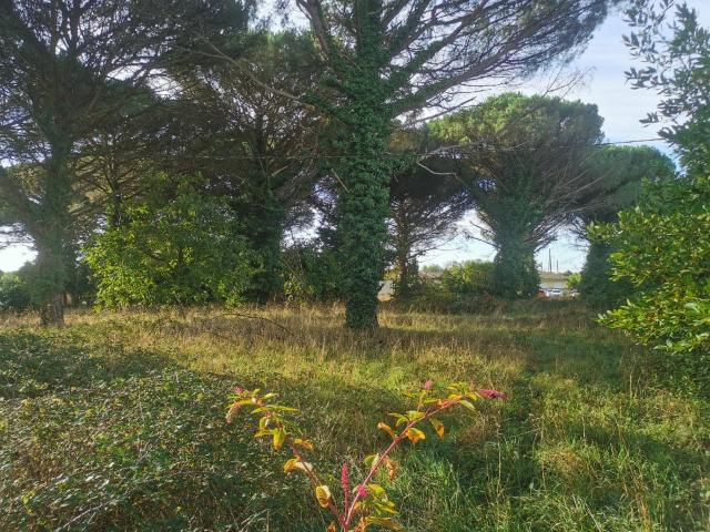Saint Maixant Vente Terrain 33