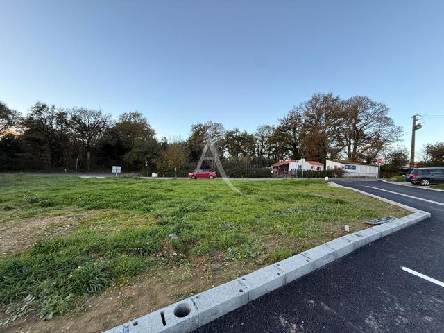 Saint Maixent sur Vie Vente Terrain 85