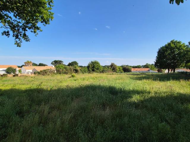 Saint Maixent sur Vie Vente Terrain 85