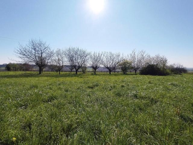 Saint Maigrin Vente Terrain 17