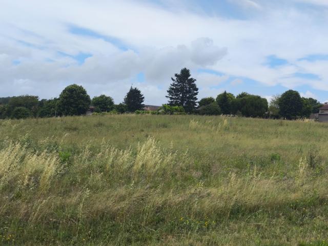 Saint Maigrin Vente Terrain 17