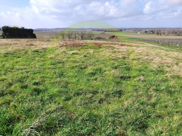 Saint Maigrin Vente Terrain 17