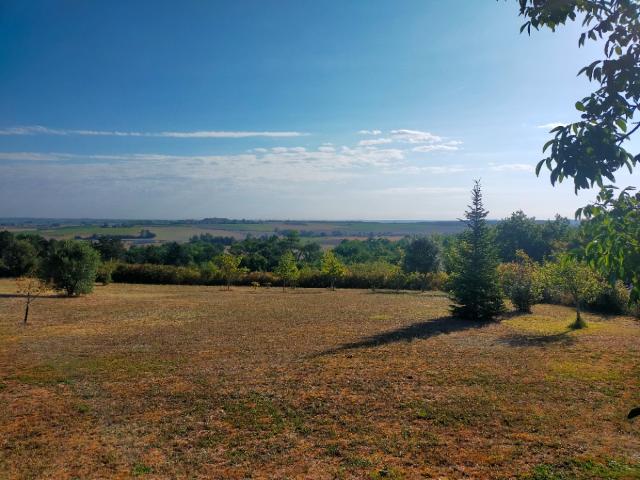 Saint Maigrin Vente Terrain 17
