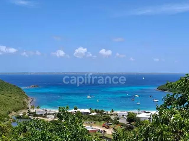 Saint Martin 97150 Achat / Vente terrain