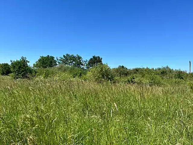 Saint Martin d'Abbat 45110 Achat / Vente terrain