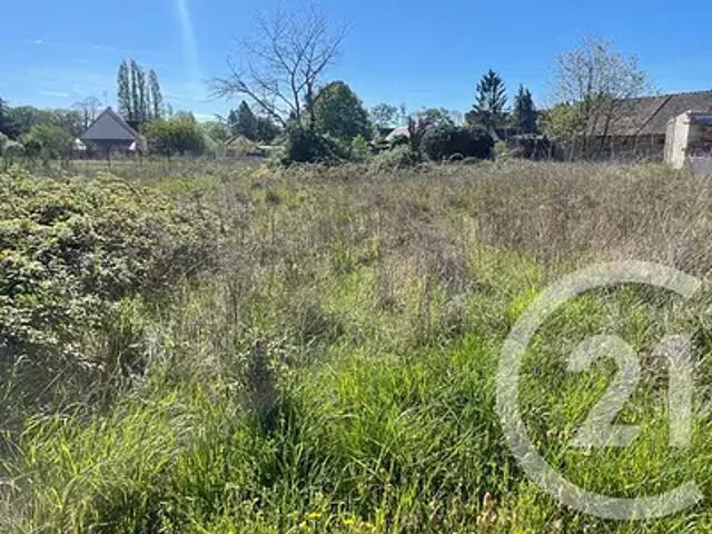 Saint Martin d'Abbat 45110 Achat / Vente terrain