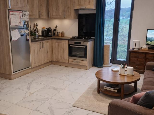 Saint Martin de Bienfaite la Cressonnière Vente Maison 14