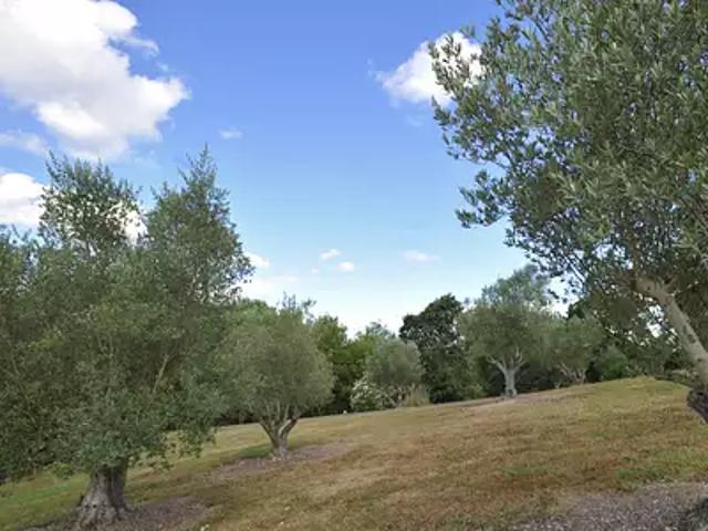 Saint Martin de Hinx 40390 Achat / Vente terrain