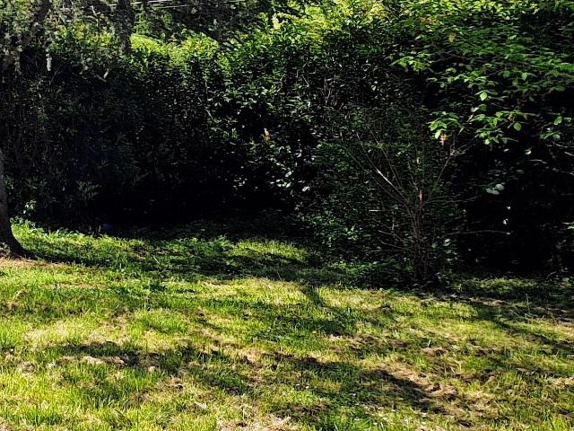 Saint Martin de Laye Vente Terrain 33