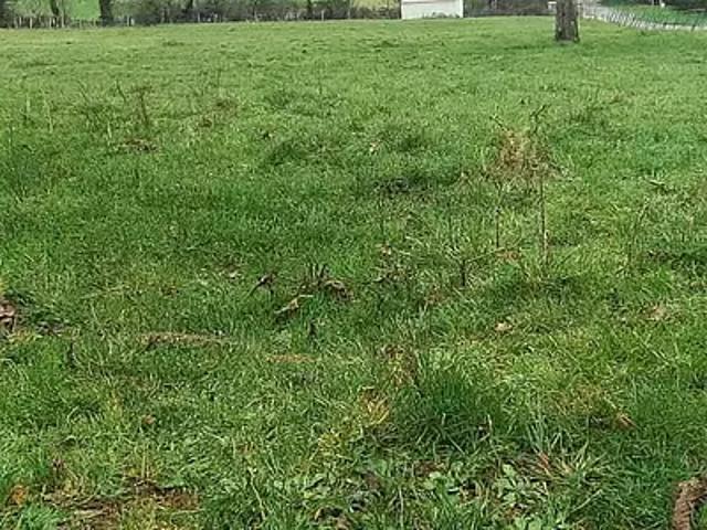 Saint Martin de Saint Maixent 79400 Achat / Vente terrain