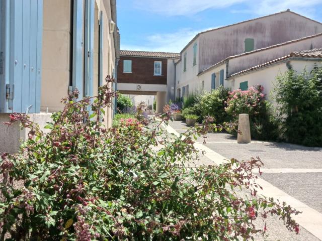 Saint Martin de Ré Vente Appartement 17