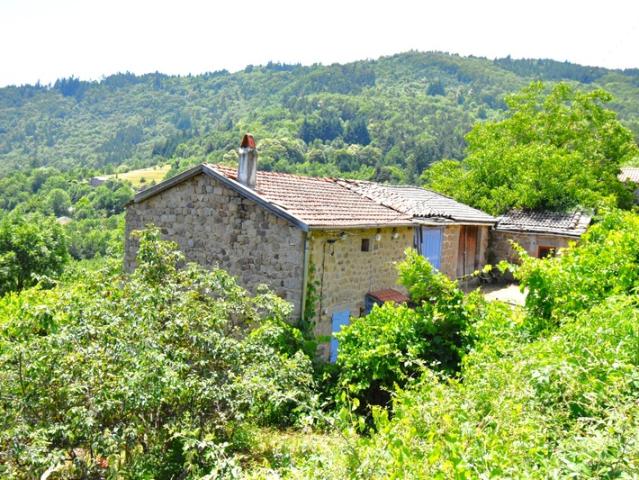 Saint Martin de Valamas Vente Maison 07