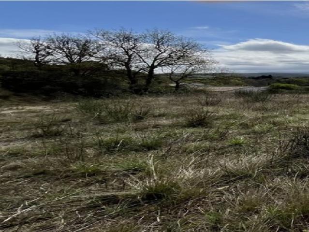 Saint Martin de Villereglan Vente Terrain 11