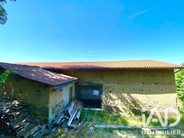 Saint Martin des Olmes Vente Maison 63