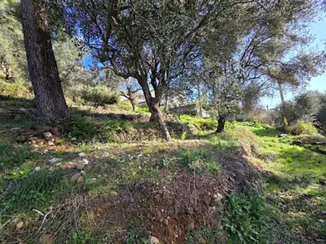 Saint Martin du Var 06670 Achat / Vente terrain