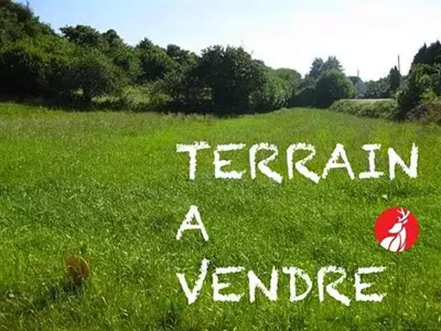 Saint Martin en Bière 77630 Achat / Vente terrain