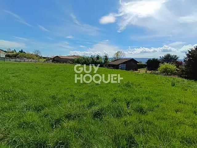 Saint Martin la Sauveté 42260 Achat / Vente terrain