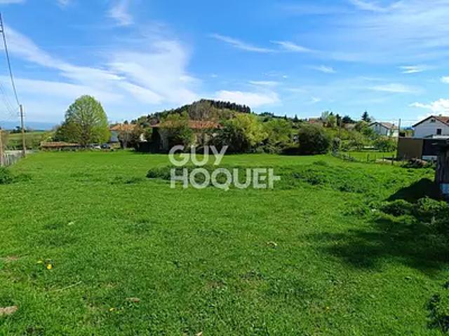 Saint Martin la Sauveté 42260 Achat / Vente terrain
