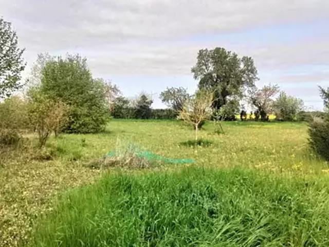 Saint Martin la Pallu 86380 Achat / Vente terrain