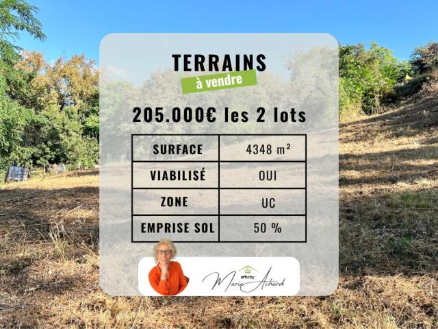Saint Martin la Plaine Vente Terrain 42