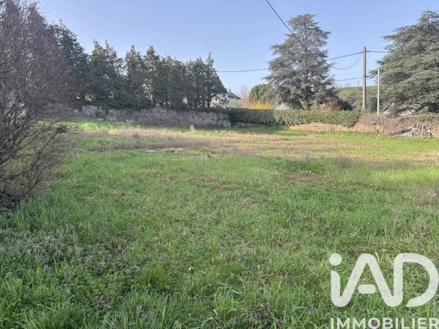 Saint Martin la Plaine Vente Terrain 42
