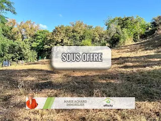 Saint Martin la Plaine 42800 Achat / Vente terrain