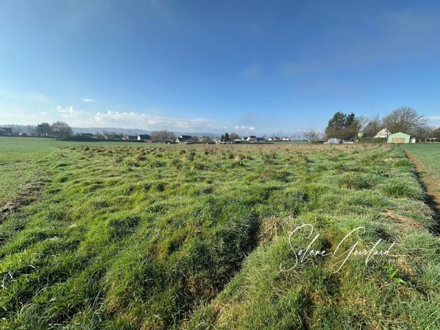 Saint Martin sur Oust Vente Terrain 56